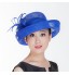 Women Sinamay Flowers  Derby Hat Fascinators Wedding Church Hat  