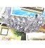 Luxury Silver Crystal Rhinestone Flower Hair Comb for Wedding Party Hair Jewelry  