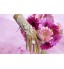 Lace Elbow Length Wedding/Party Glove with Pearl Adjustable Rose Ring(1 PCS)  