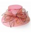 Beautiful Organza Special Occasion Hats(More Colors)  