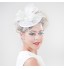 Girl Wedding Party  Sinamay  Net Clip Headband Fascinator SFC12418 (more colors)  