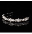 Bridal Crown Silver Tiara Queen Flower Leaf Butterfly Crystal/Diamond  Flower Hairclips Headpiece Wedding/Party  