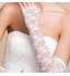 Opera Length Half Finger Glove Lace Bridal Gloves Spring / Summer / Fall Embroidery  