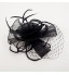 Women Wedding/Party Satin Fascinator with Feathers SFC12171  