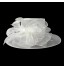 Beautiful Organza Special Occasion Hats(More Colors)  