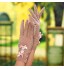 Wrist Length Fingertips Glove Lace Bridal Gloves / Party/ Evening Gloves / General Purposes &amp; Work Gloves Spring / Summer / Fall Bow  