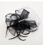 Women Wedding/Party Satin Fascinator with Feathers SFC12171  