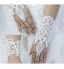 Lace/Voile Wrist Length Fingerless Wedding/Party Glove  