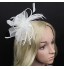 Women&#039;s Feather/Net Headpiece - Wedding/Party Fascinators 1 Piece  