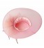 Beautiful Organza Special Occasion Hats(More Colors)  