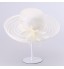 Women&#039;s Basketwork Headpiece-Wedding / Special Occasion Hats 1 Piece Head circumference  57cm  