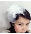 Women&#039;s Feather / Tulle / Net Headpiece-Wedding / Special Occasion Fascinators 1 Piece  