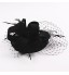 Girl Wedding Party Satin Feather Net Clip Headband Fascinator SFC12517 (more colors)  