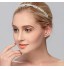 Women&#039;s Rhinestone Headpiece-Wedding / Special Occasion / Casual / Office &amp; Career / Outdoor Headbands 1 Piece Silver Round  