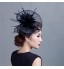 Women Wedding/Party Sinimay Fascinator with Feathers SFC12329  