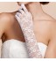 Opera Length Fingertips Glove Lace Bridal Gloves / Party/ Evening Gloves Spring / Summer / Fall  