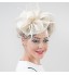 Girl Wedding Party Satin Feather Net Clip Headband Fascinator SFC12517 (more colors)  