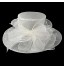 Beautiful Organza Special Occasion Hats(More Colors)  