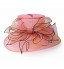 Beautiful Organza Special Occasion Hats(More Colors)  