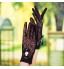 Wrist Length Fingertips Glove Lace Bridal Gloves / Party/ Evening Gloves / General Purposes &amp; Work Gloves Spring / Summer / Fall Bow  