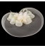 Women&#039;s Organza Headpiece-Wedding Fascinators / Flowers / Hats  