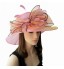 Beautiful Organza Special Occasion Hats(More Colors)  