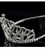 Women&#039;s Alloy Headpiece-Wedding / Special Occasion Tiaras Clear Round  