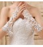 Fingerless Glove Bridal Gloves Spring / Summer / Fall / Winter  