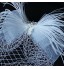 Women&#039;s Feather / Tulle Headpiece-Wedding / Special Occasion / Outdoor Birdcage Veils  