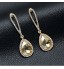 Lady&#039;s Silver AAA Zircon Stone Crystal Drop Earrings for Wedding Party Jewelry  