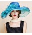 Women&#039;s Flax Headpiece-Wedding / Special Occasion Hats 1 Piece Head circumference Adjustable(54-58cm)  