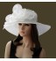 Beautiful Organza Special Occasion Hats(More Colors)  