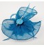 Women Wedding/Party Sinimay Fascinator with Feathers SFC12329  