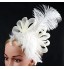 Women&#039;s Feather / Fabric Headpiece-Wedding / Special Occasion Hats  